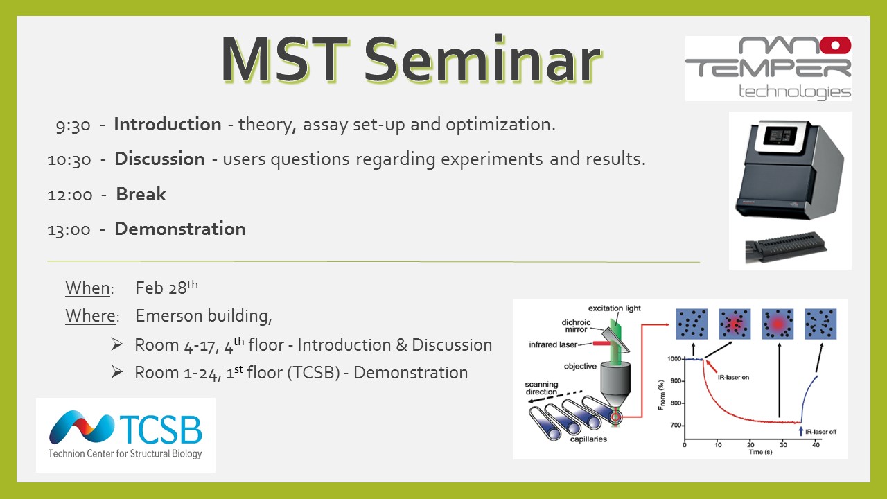 MST Seminar